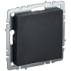 BRITE Заглушка c суппортом МЗ10-БрЧ черн. IEK