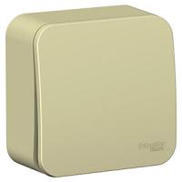 Бланка бежевый выключатель 1кл открытая 10А IP20 