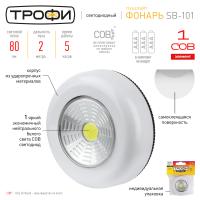 Фонарь пушлайт 1СВД 1Вт 80лм 3*ААА Трофи 