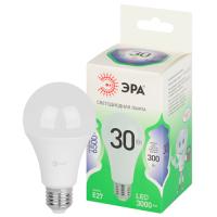 Лампа свд 220В Е27 30Вт 6500К 3000лм стандарт А65 матовая  ЭРА Green Line